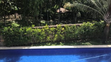 piscina reserva do itanhangá